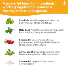 Morning routine scene with LifeSeasons Adrenal-T for calm focus.