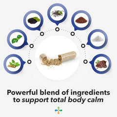 Morning-dose scene shows starting the day with calm focus.