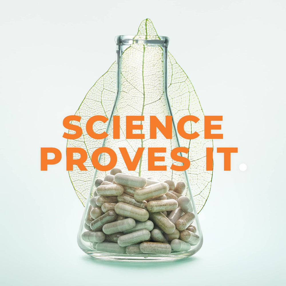 LifeSeasons Bone Densi-T packaging highlights a science-backed blend