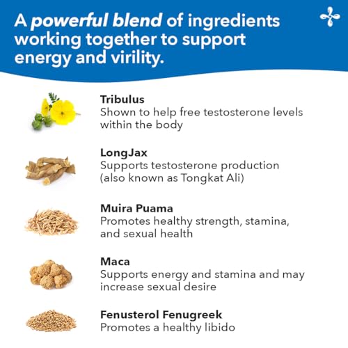 LifeSeasons Masculini-T energy-boost visualization during a workout session