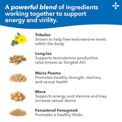 LifeSeasons Masculini-T energy-boost visualization during a workout session