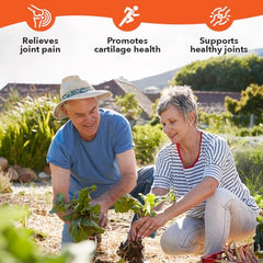 LifeSeasons Mobili-T label closeup highlighting natural joint ingredients