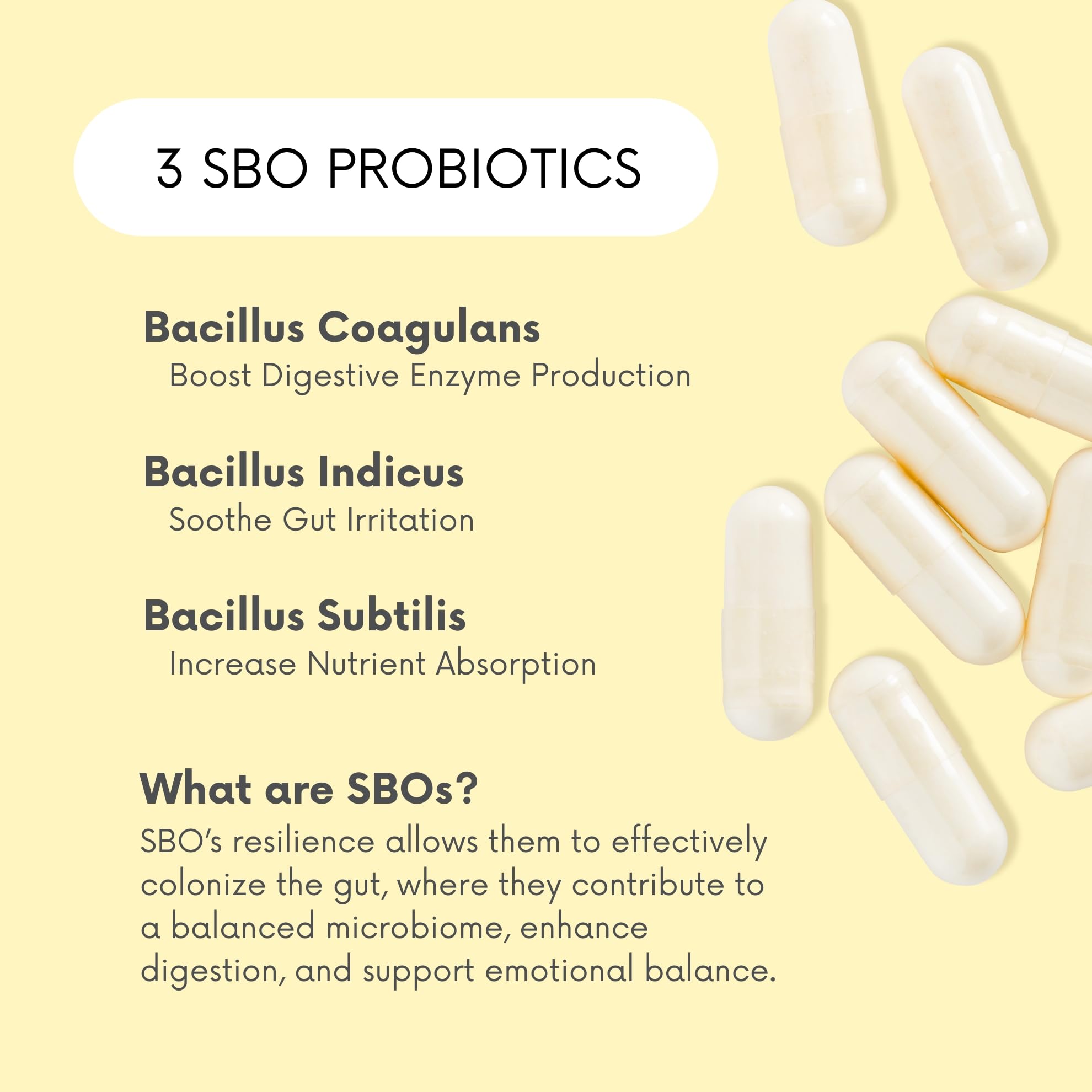 Lifted Naturals shelf-stable probiotic bottle designed for easy, on-the-go use.