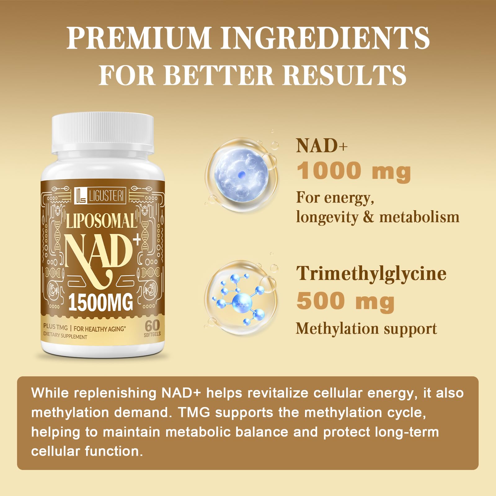 Bottle with glass background shows easy-to-swallow capsules for daily supplementation.