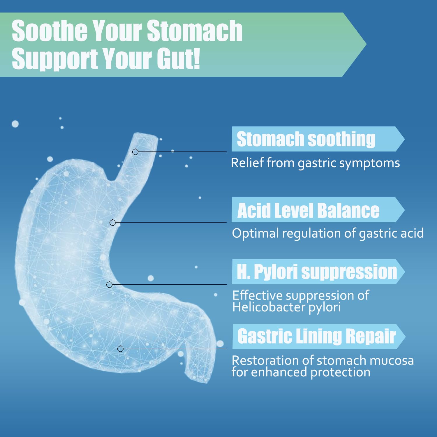 LIISKYY green tea and berberine extract visuals suggesting antioxidant gut support