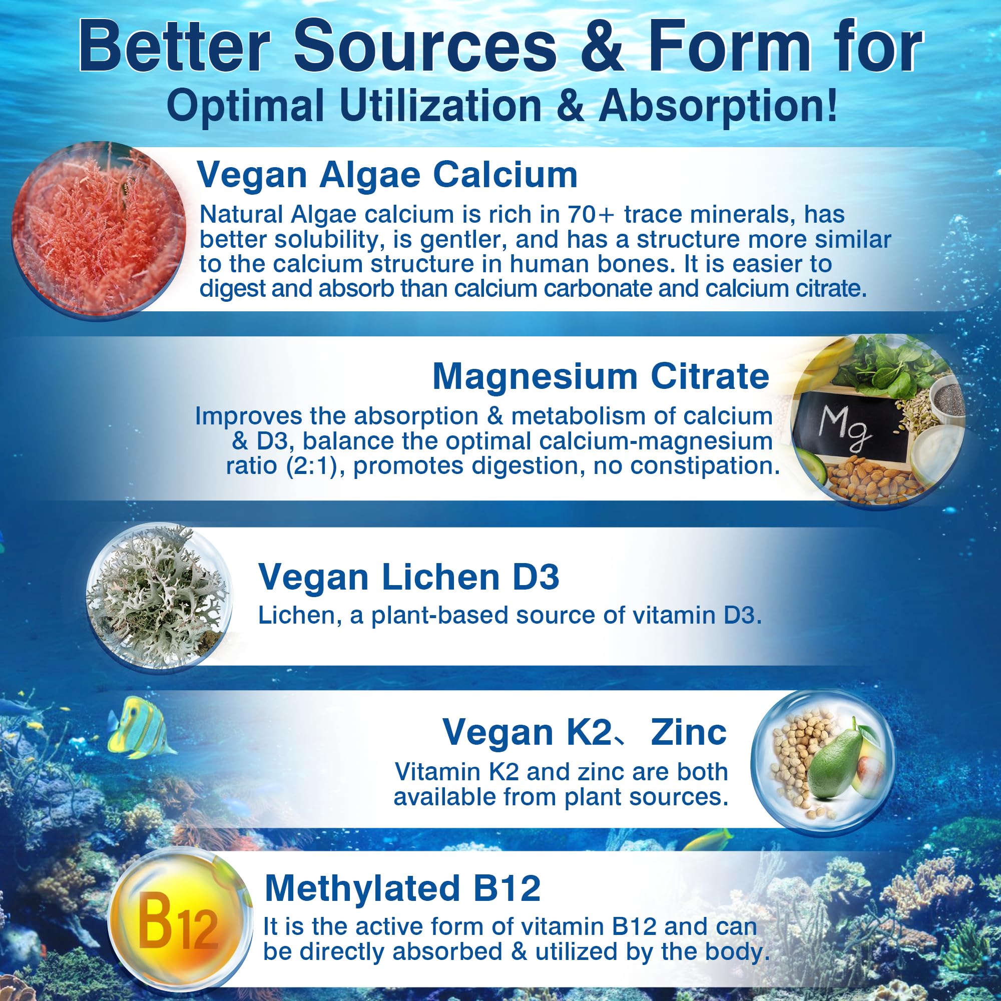 LILICARE algae calcium with 70 minerals for comprehensive bone nourishment