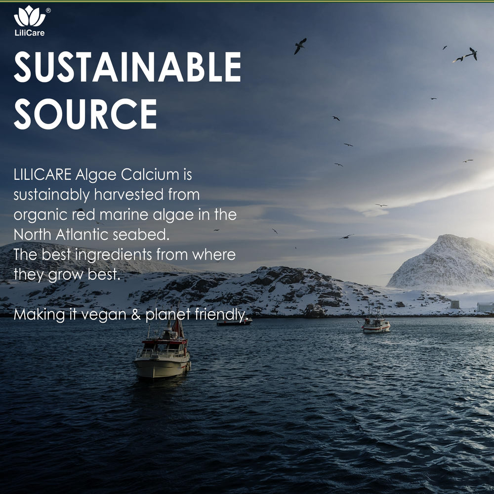LILICARE calcium gummies tabletop usage prompts easy daily dose reminders