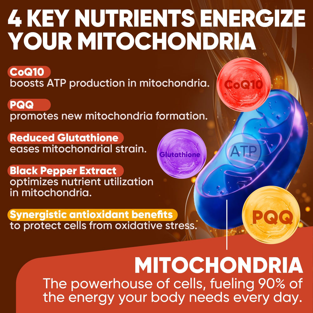 LILICARE CoQ10 with PQQ and black pepper extract supporting mitochondrial energy