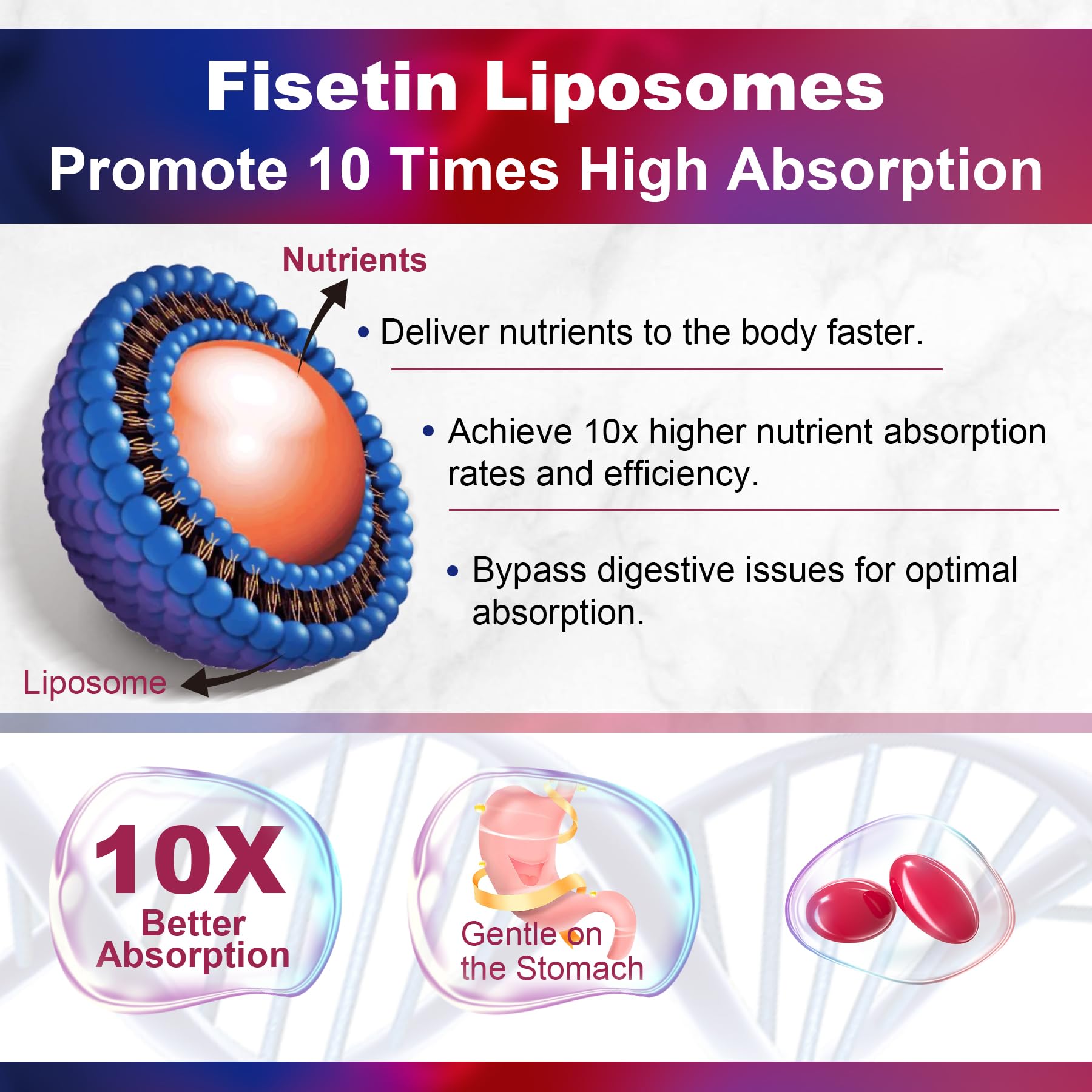 LILICARE liposomal delivery cutaway illustrates enhanced bioavailability potential.