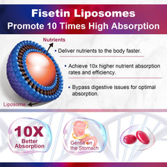 LILICARE liposomal delivery cutaway illustrates enhanced bioavailability potential.