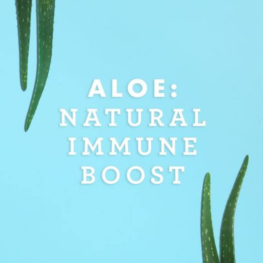 Chilled glass of Lily Of The Desert Aloe Vera Juice ready to sip.