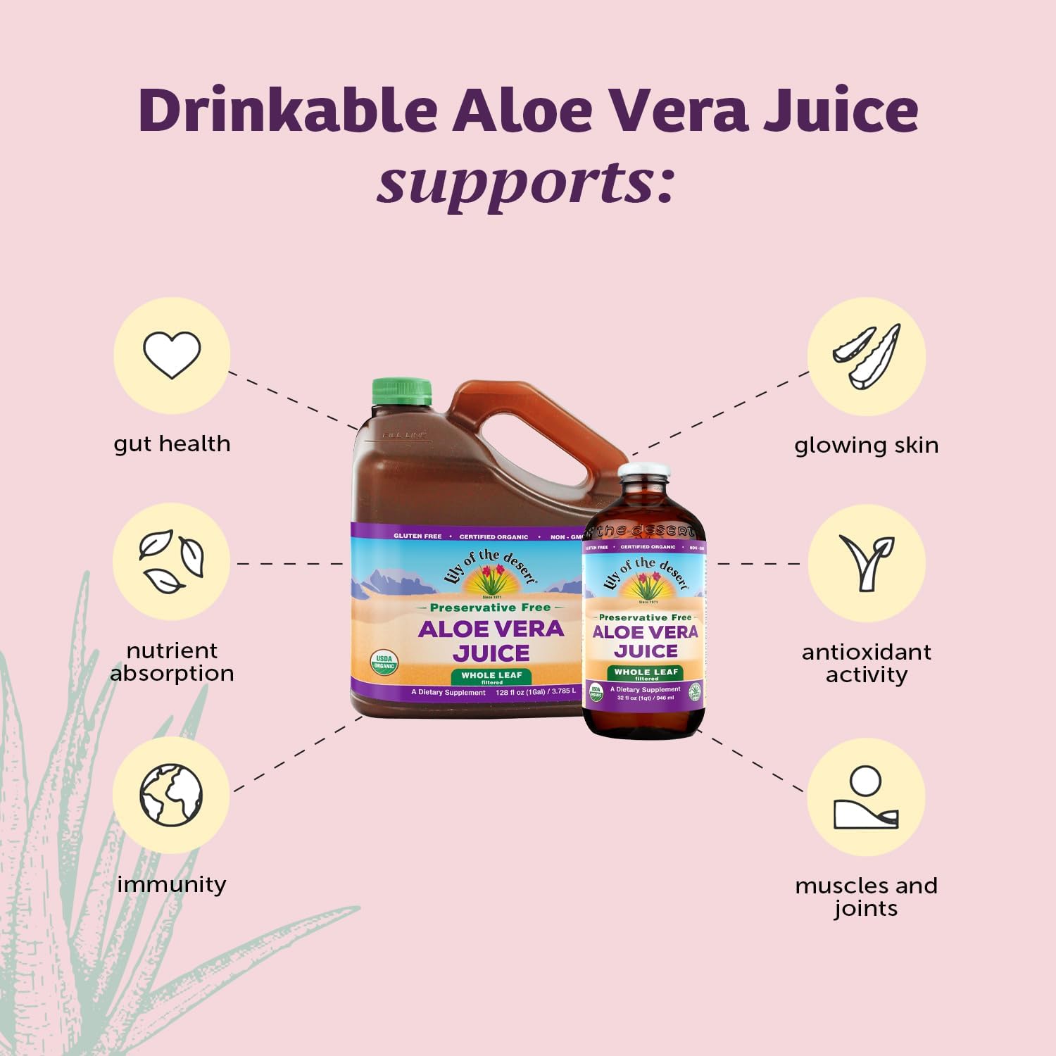 Lily Of The Desert aloe vera supplement label closeup highlights certified organic leaves.