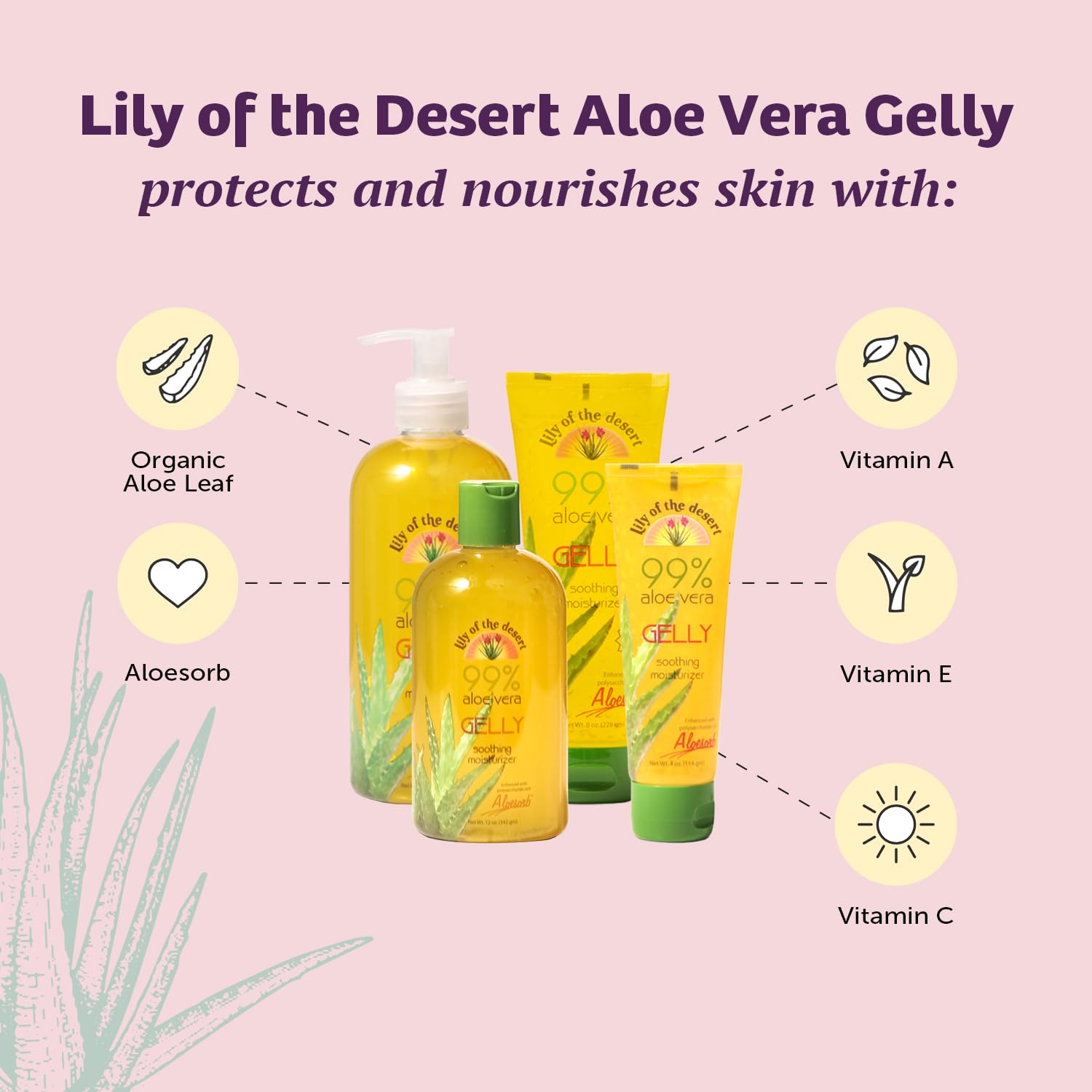 Lily Of The Desert Gelly Moisturizer jar ready for cooling relief after sun exposure