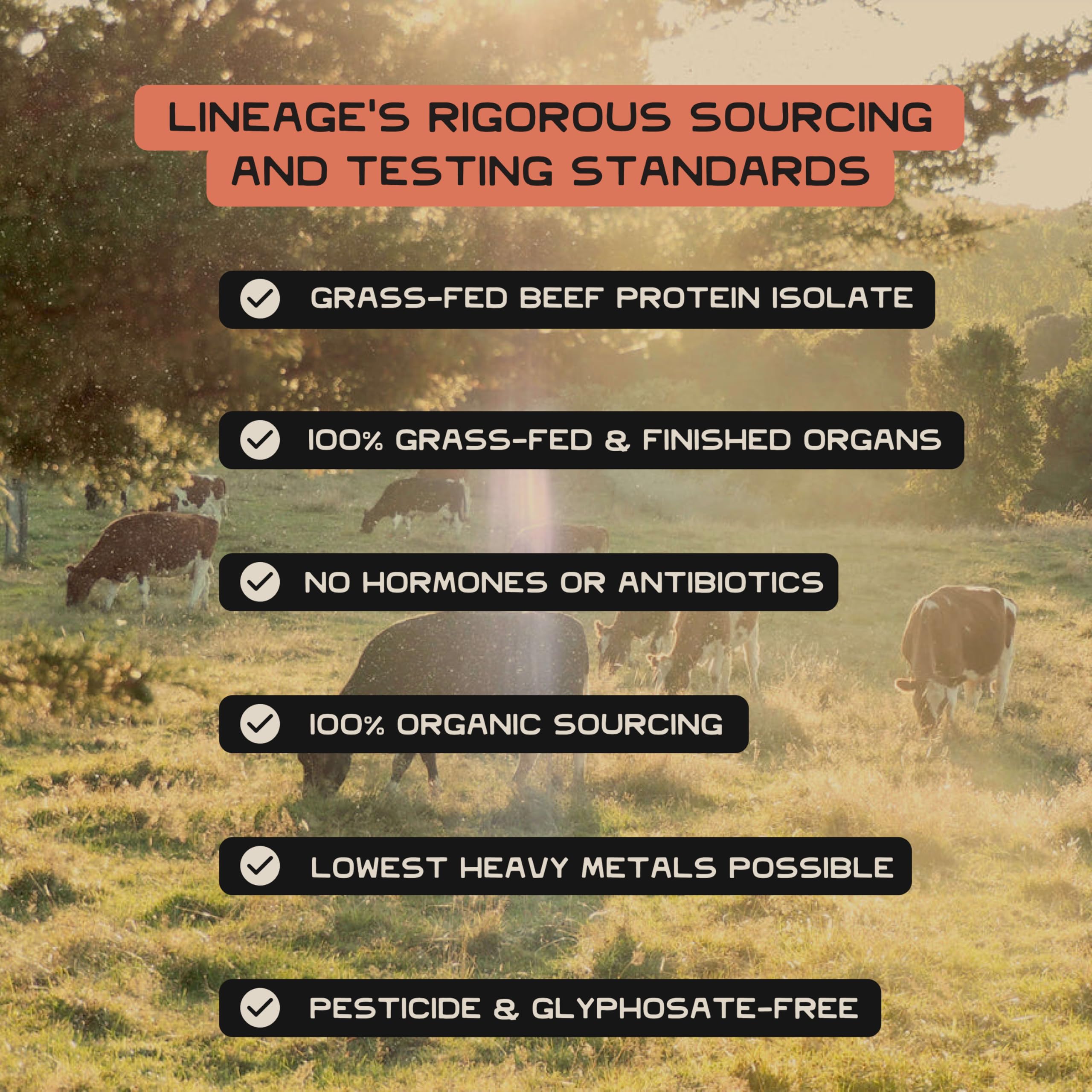 Lineage Provisions 90 servings packaging shot indicating long-lasting supply