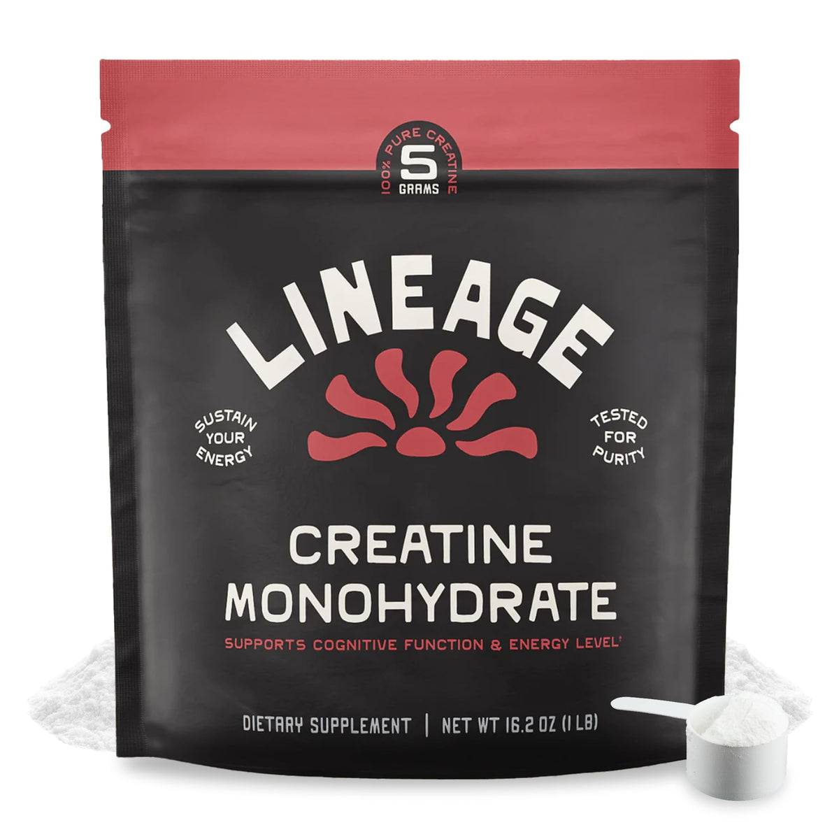 Lineage Provisions creatine micronized powder in jar for consistent training sessions