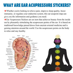 Litelogy acupressure probe provides precise ear point location.