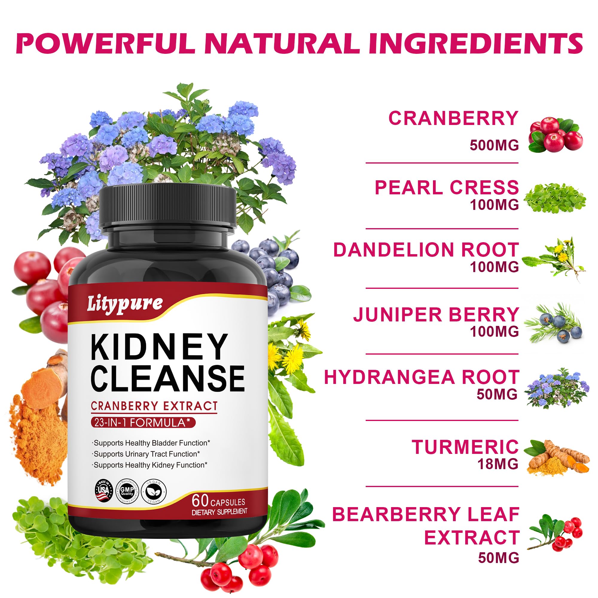 Litypure cranberry extract 50-1 visual, potent natural extract