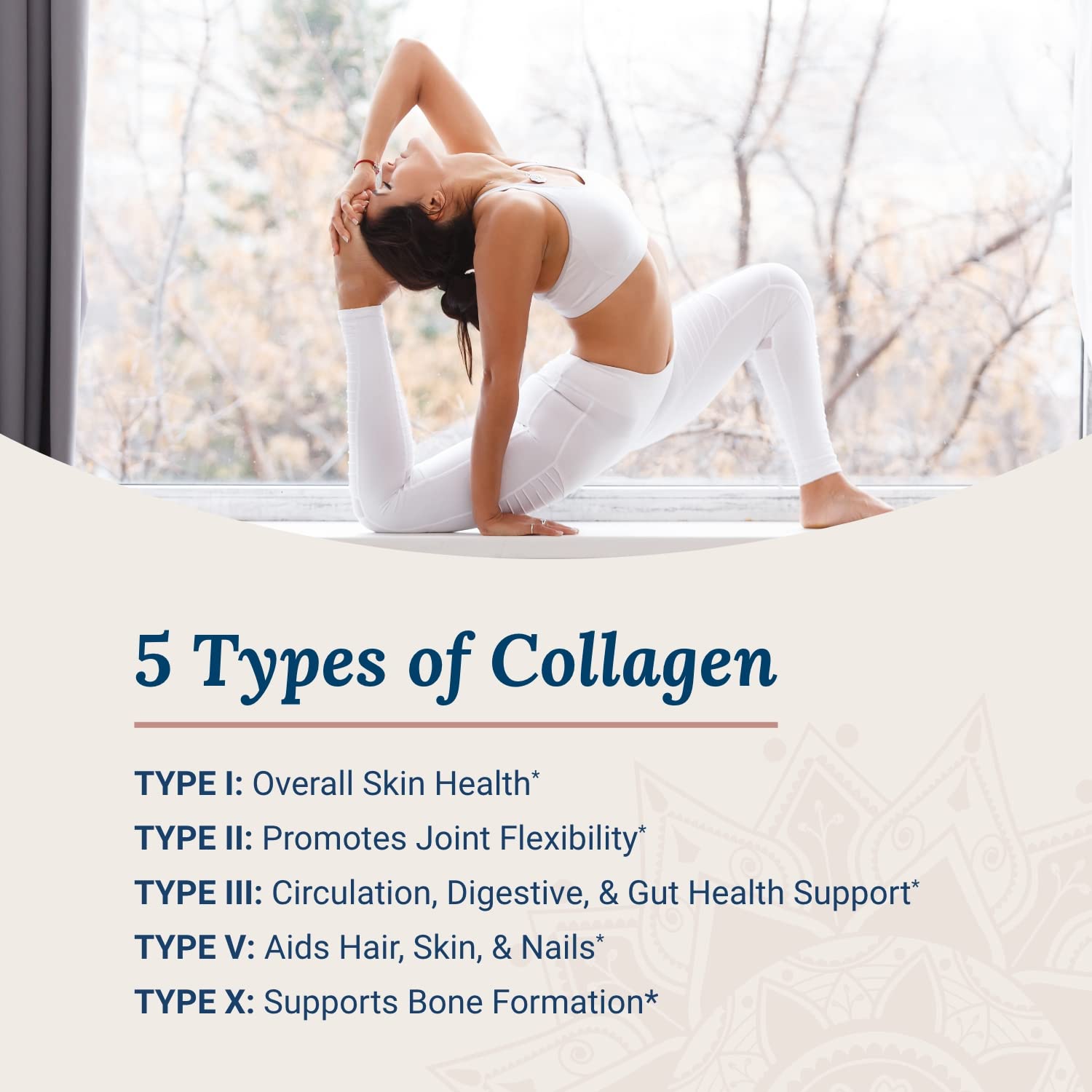Live Conscious Beyond Collagen label detail highlights five collagen types for overall support.