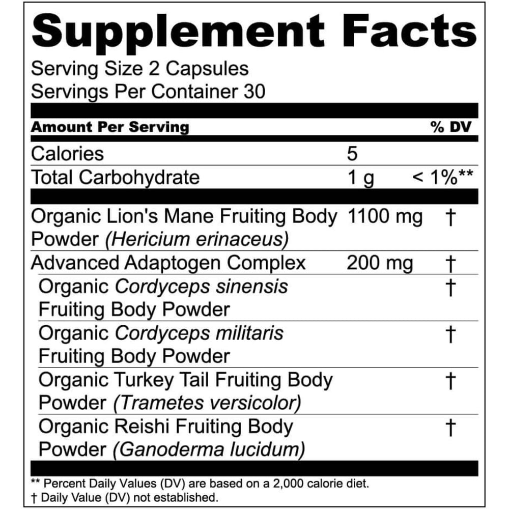 Live Conscious turkey tail powder visual indicating immune support.