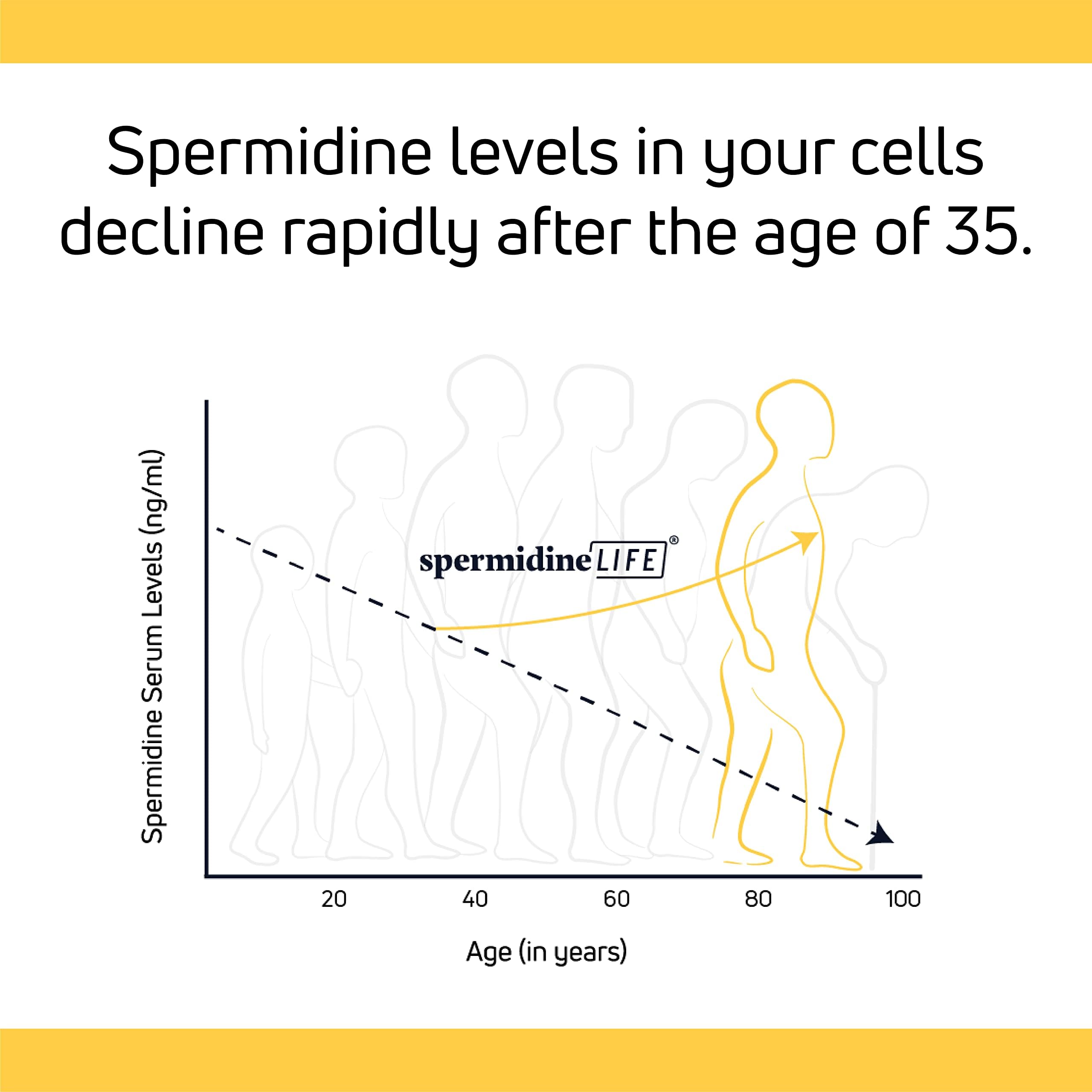 LONGEVITY LABS spermidineLIFE vegan-friendly packaging and pure ingredients