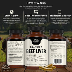 Lonvera beef liver capsules jar close-up showing clean, simple formula and compact daily dose.