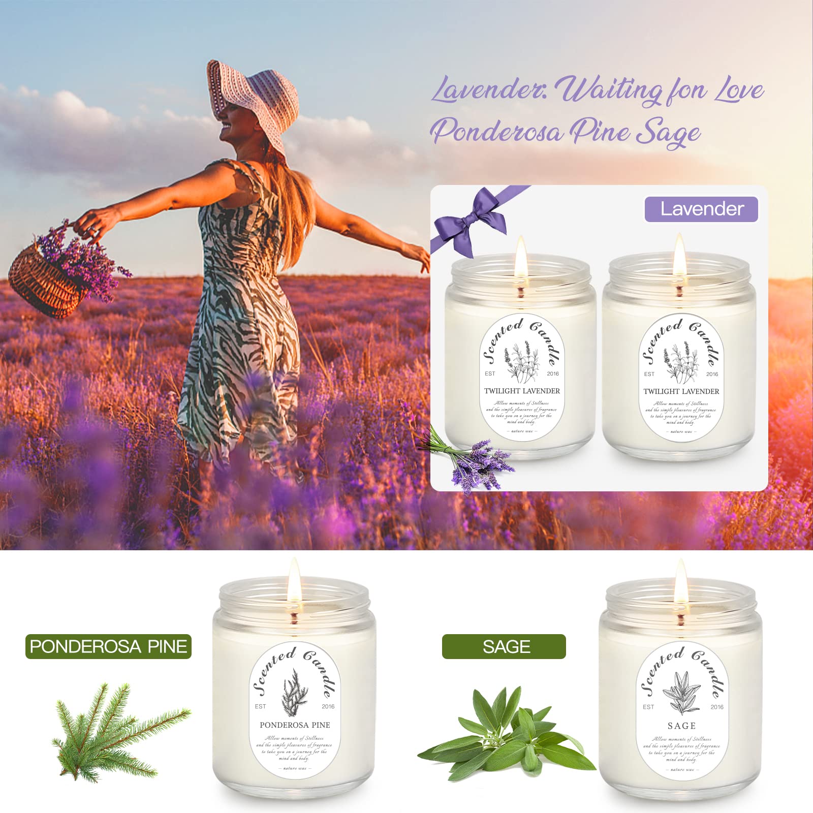 LOSNYA Elegant glass jar design complements living rooms and bedrooms.