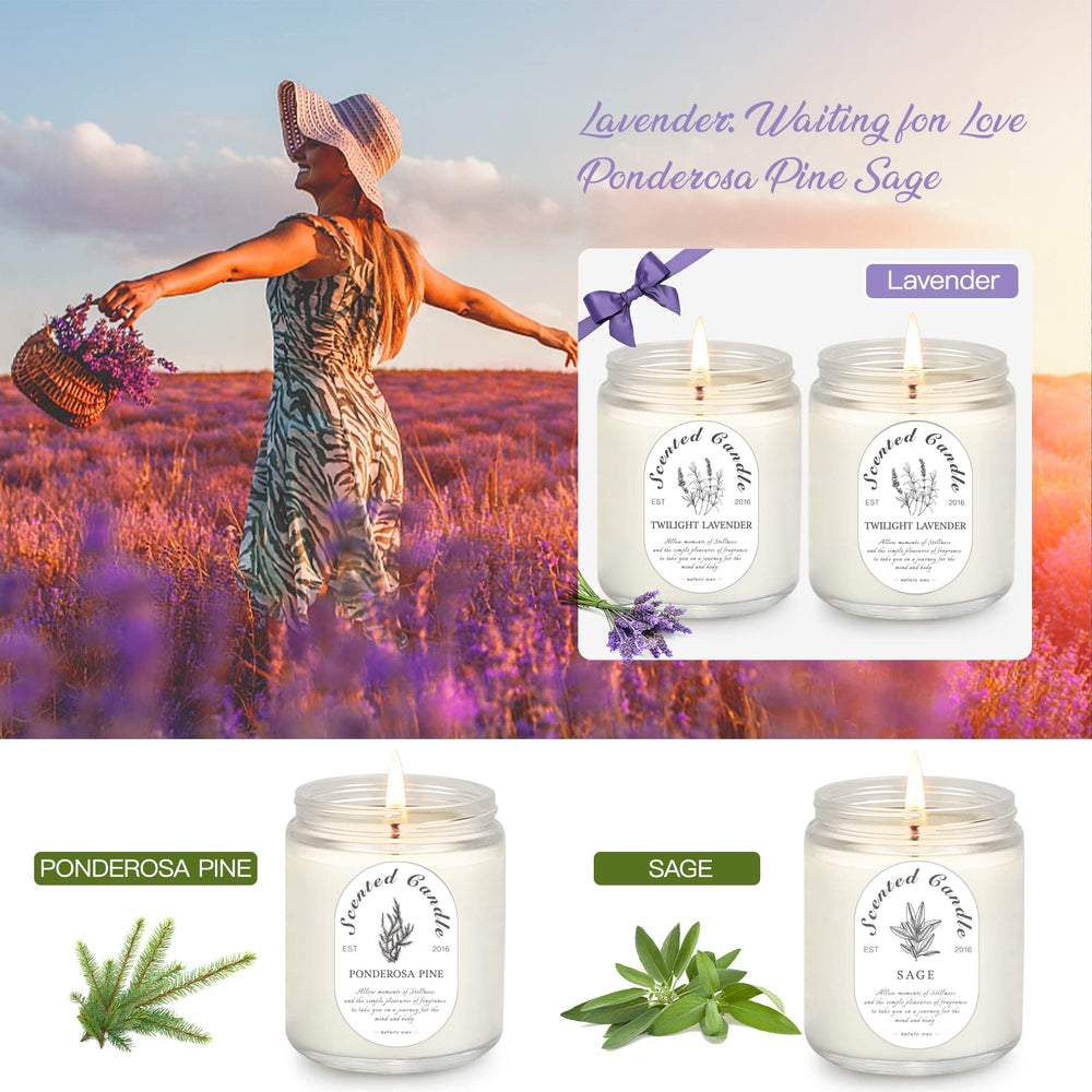 LOSNYA Elegant glass jar design complements living rooms and bedrooms.
