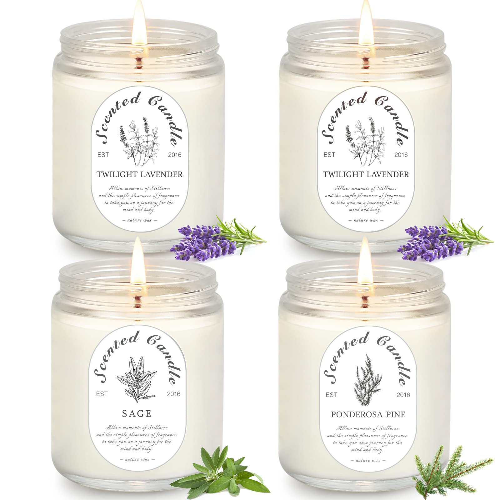 LOSNYA Lavender Candle Gift Set in minimalist glass jars for cozy spaces.