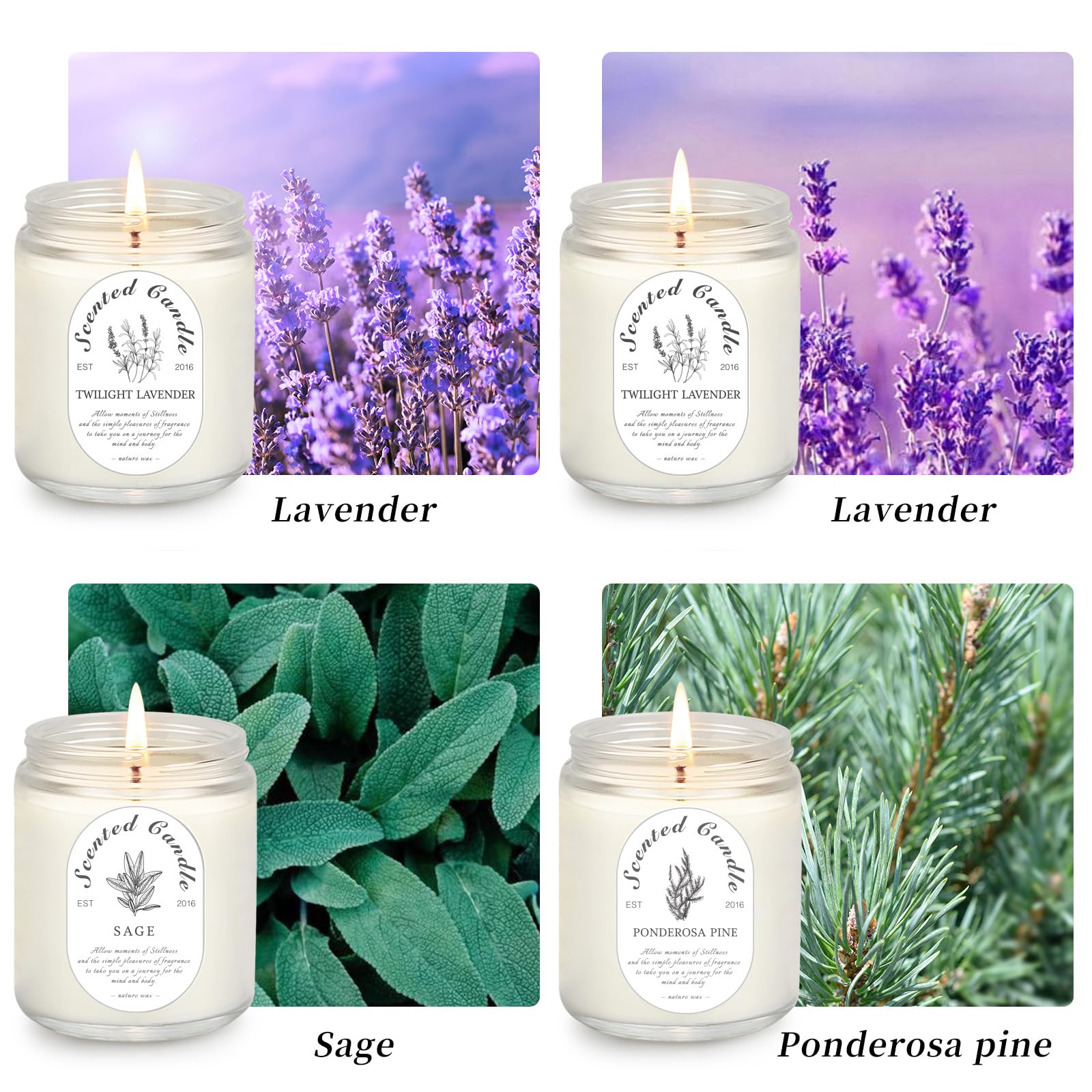LOSNYA Lavender candle close-up in a clean glass jar for calm ambience.