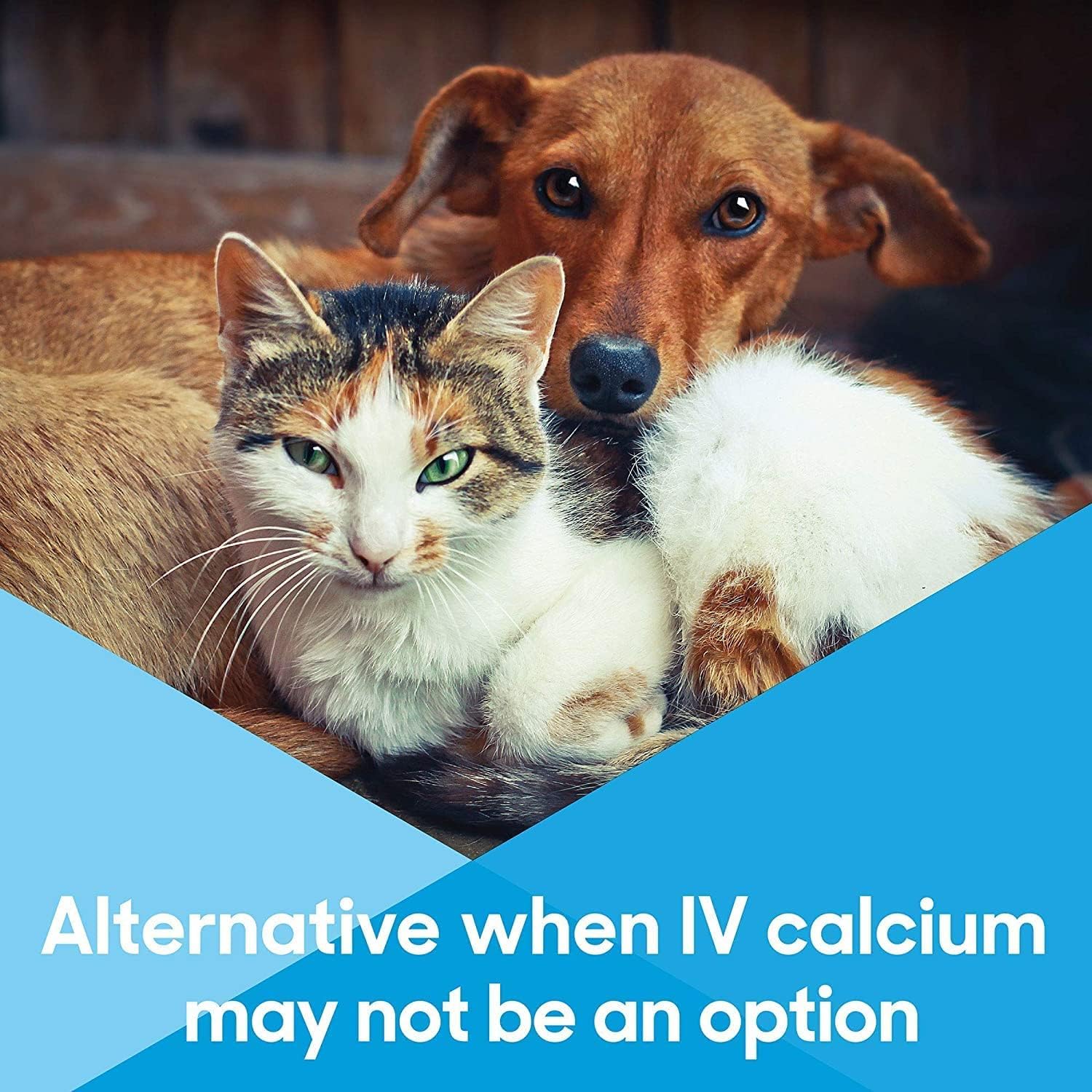 Lots of Love Calcium Now includes MCT for mental alertness and quick energy.