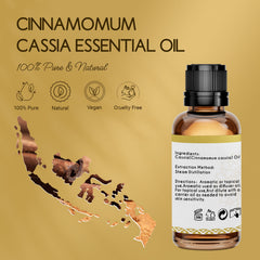 LOTUSJOY Cassia Cinnamon diffuser blend ready for warm, inviting rooms.