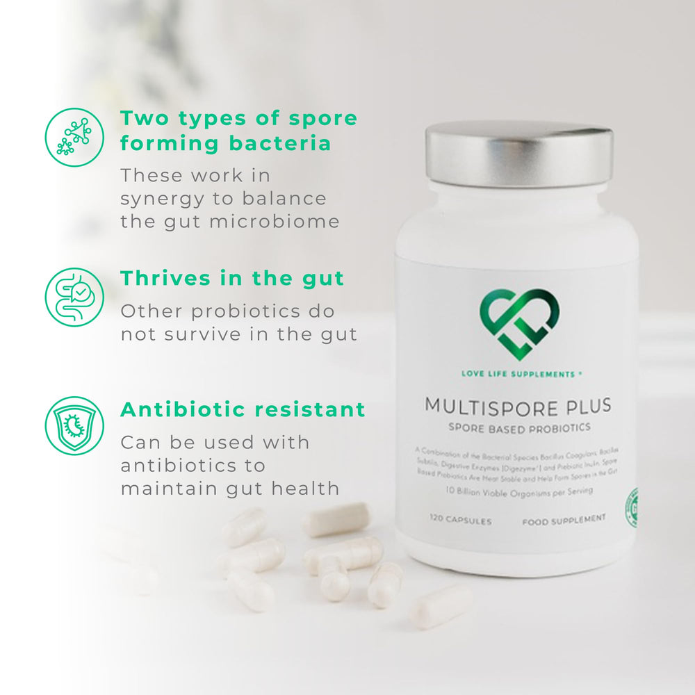 Close-up of Love Life Supplements Multispore Plus capsules highlighting convenient daily probiotic intake