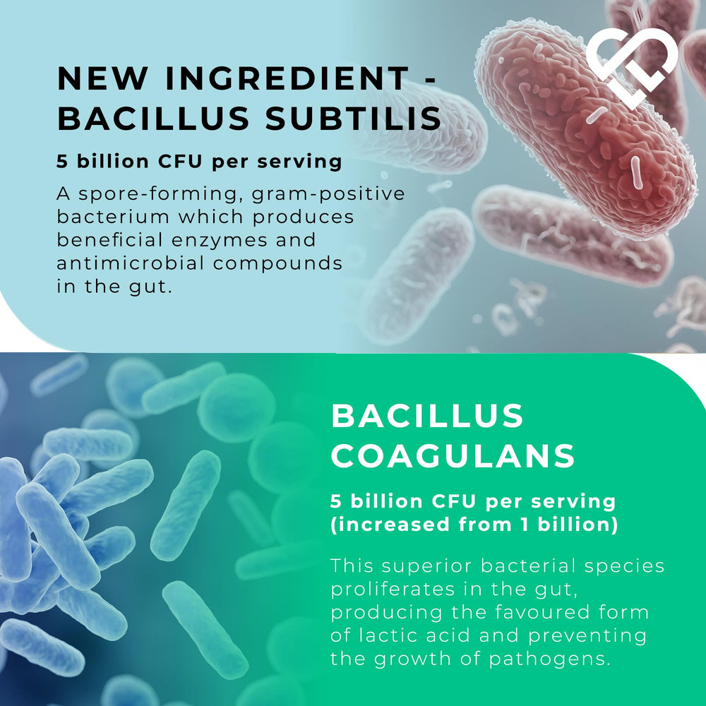 Inulin prebiotic illustration emphasizes gut-friendly chicory-derived fibre source