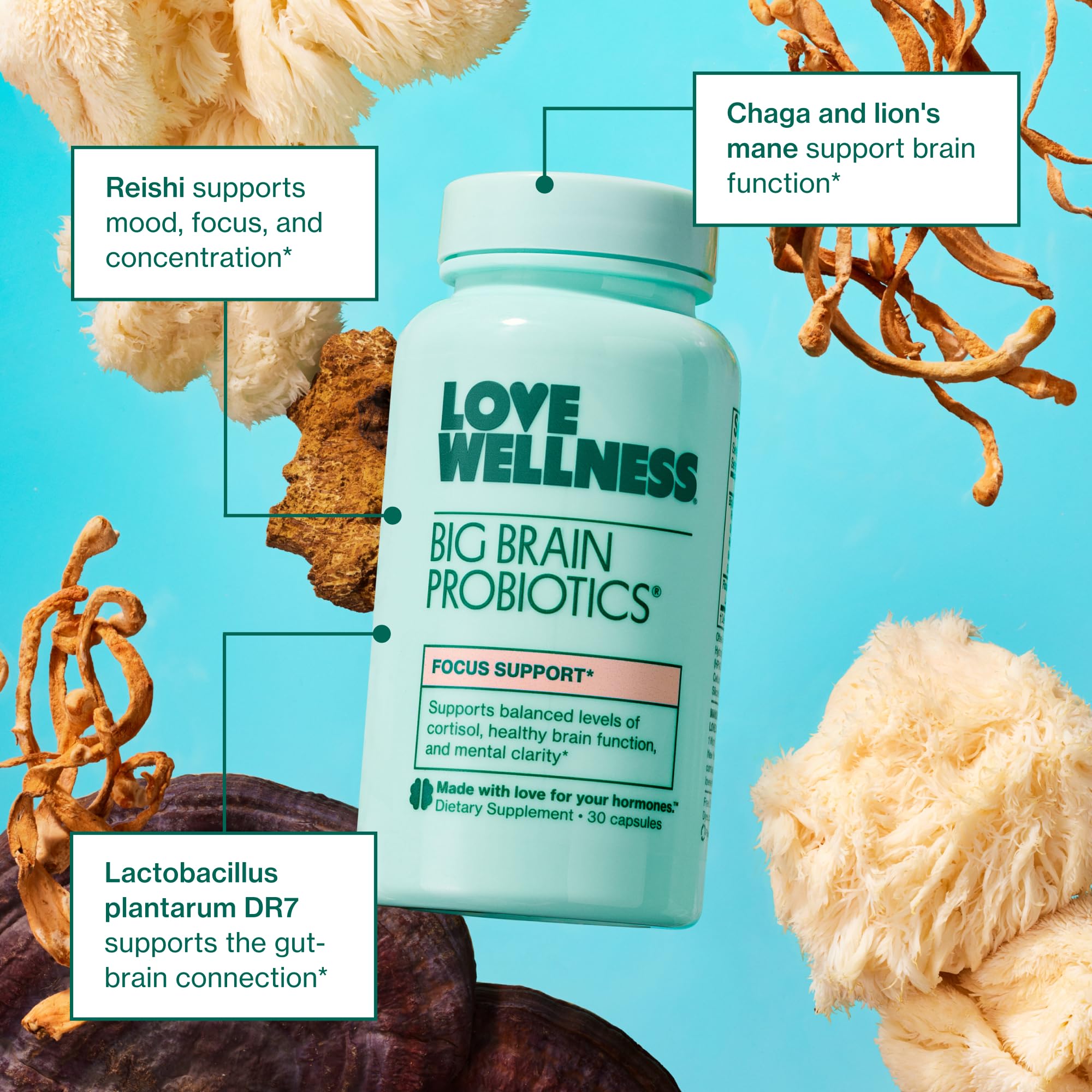 Love Wellness Big Brain Probiotics graphic illustrating gut-brain connection and cognitive support.