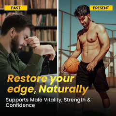 LSOIUX Shilajit capsules with Ashwagandha and Tongkat Ali blend for balanced energy