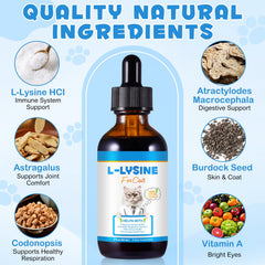 LTQXGT Lysine cat supplement eye-health focus for brighter eyes