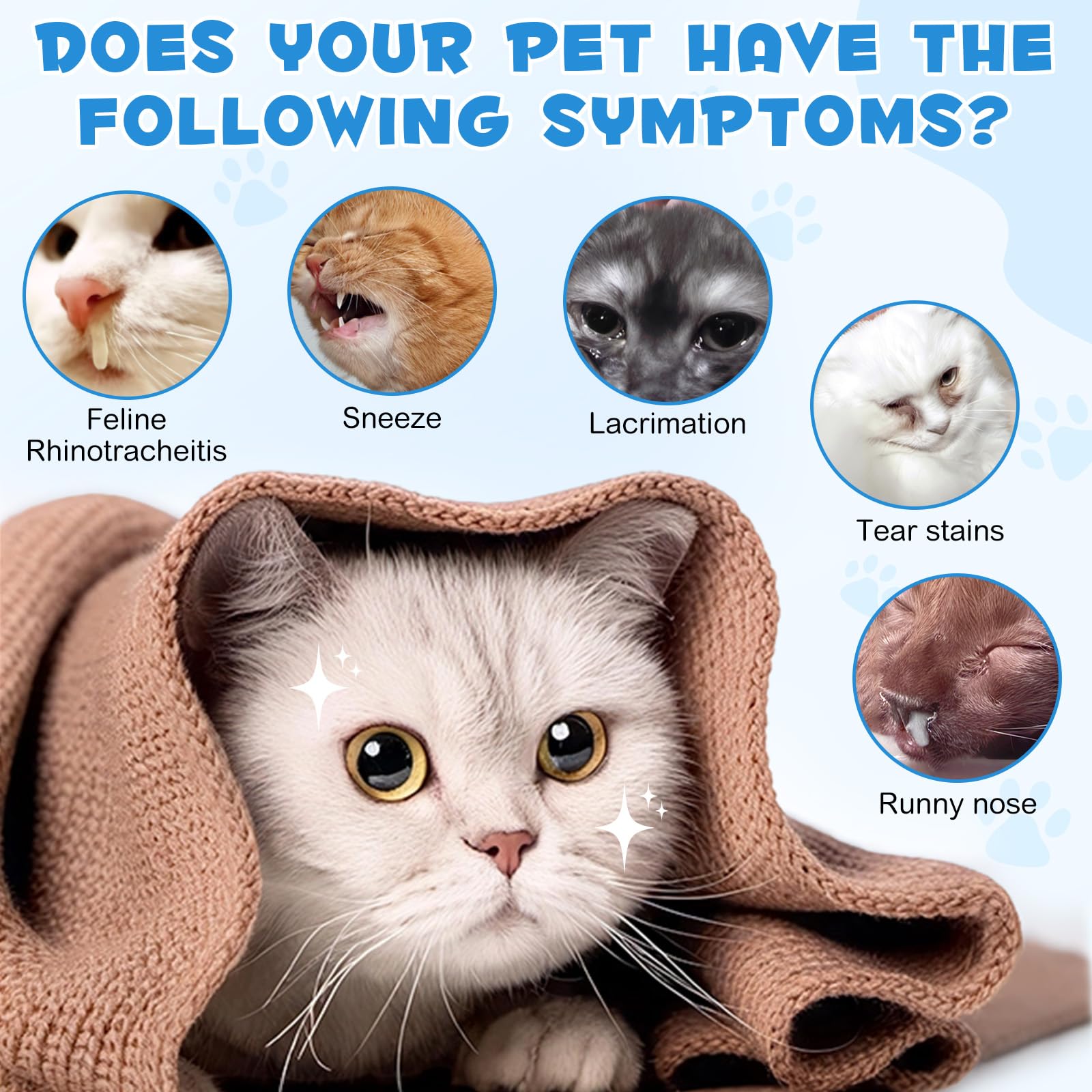 LTQXGT Lysine supplement safe for kittens and adults