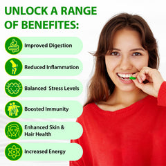 LTQXGT Sea Moss Gummies daily-use packaging designed for easy daily supplementation.