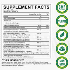 LTQXGT Sea Moss Gummies ingredients closeup highlighting sea moss, bladderwrack and ashwagandha.