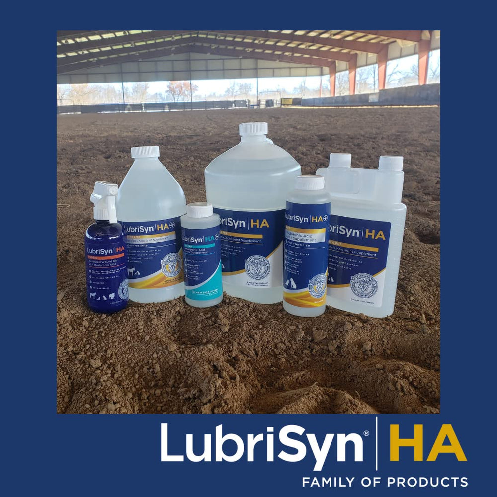 Active user preparing to take LubriSynHA as part of a daily routine