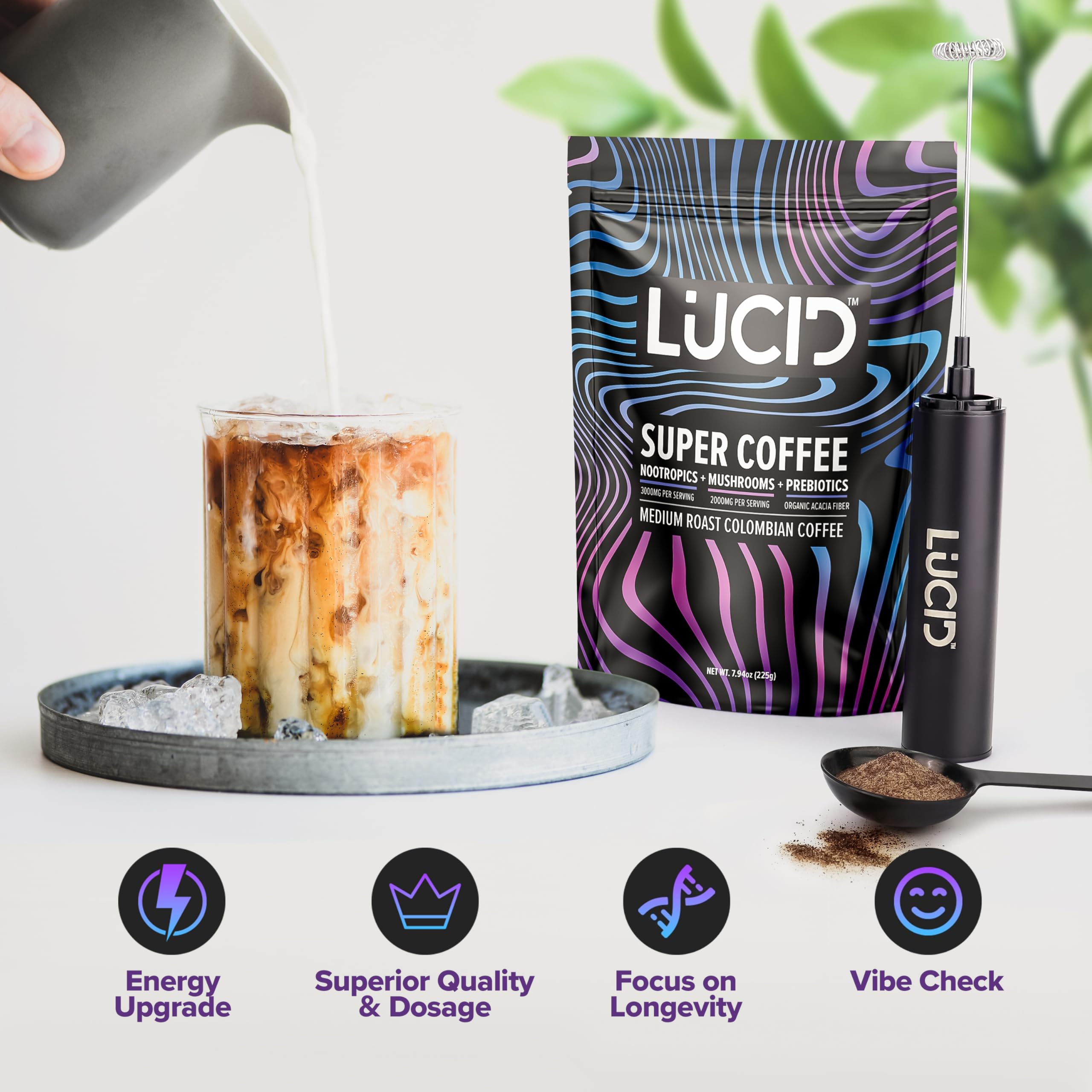 Lucid Ginkgo Biloba label hints at memory-friendly focus.
