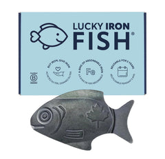 Lucky Iron Fish in pot simmer for quick iron fortification during meals