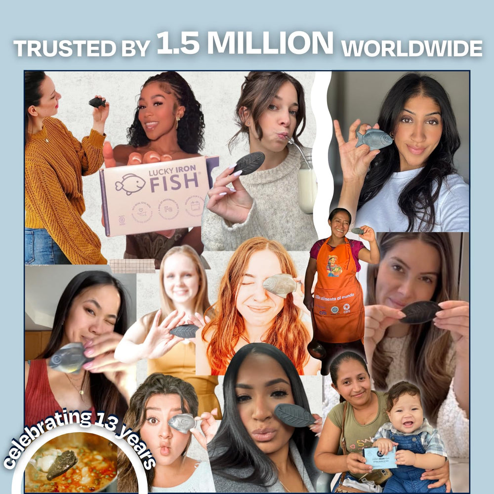 Lucky Iron Fish lab safety testing underscores trusted food-grade iron