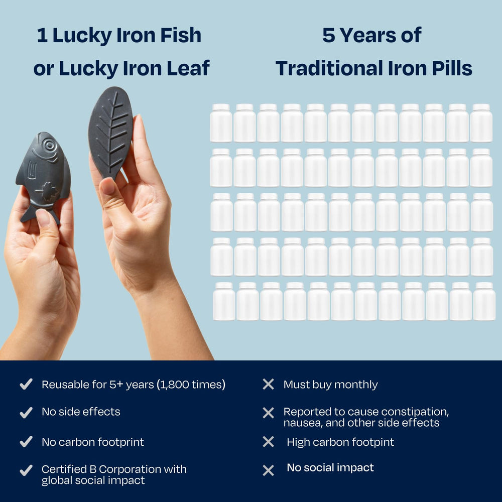 Lucky Iron Fish with rice pot adds iron to everyday grain dishes