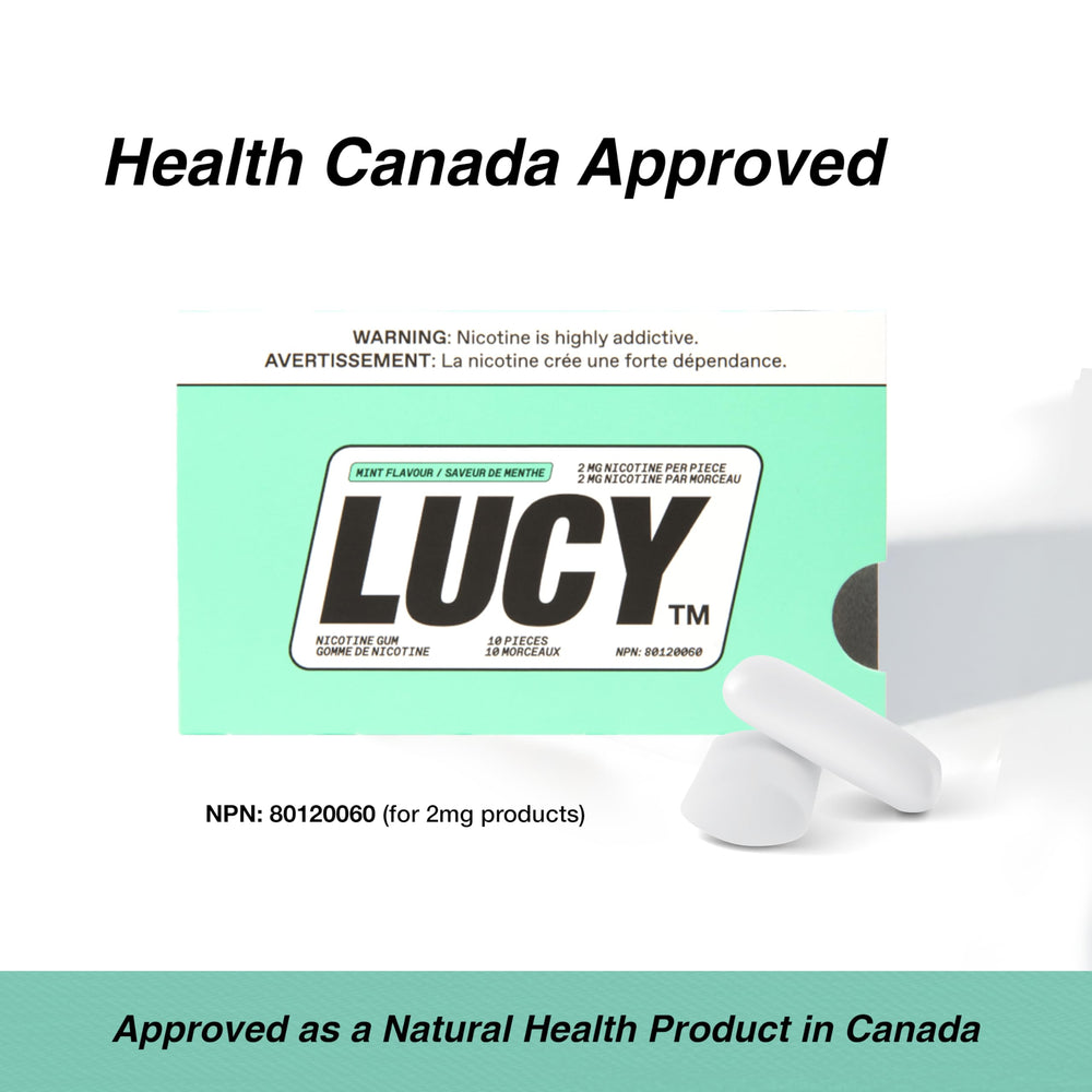 LUCY 2mg mint gum packaging showcased for routine use