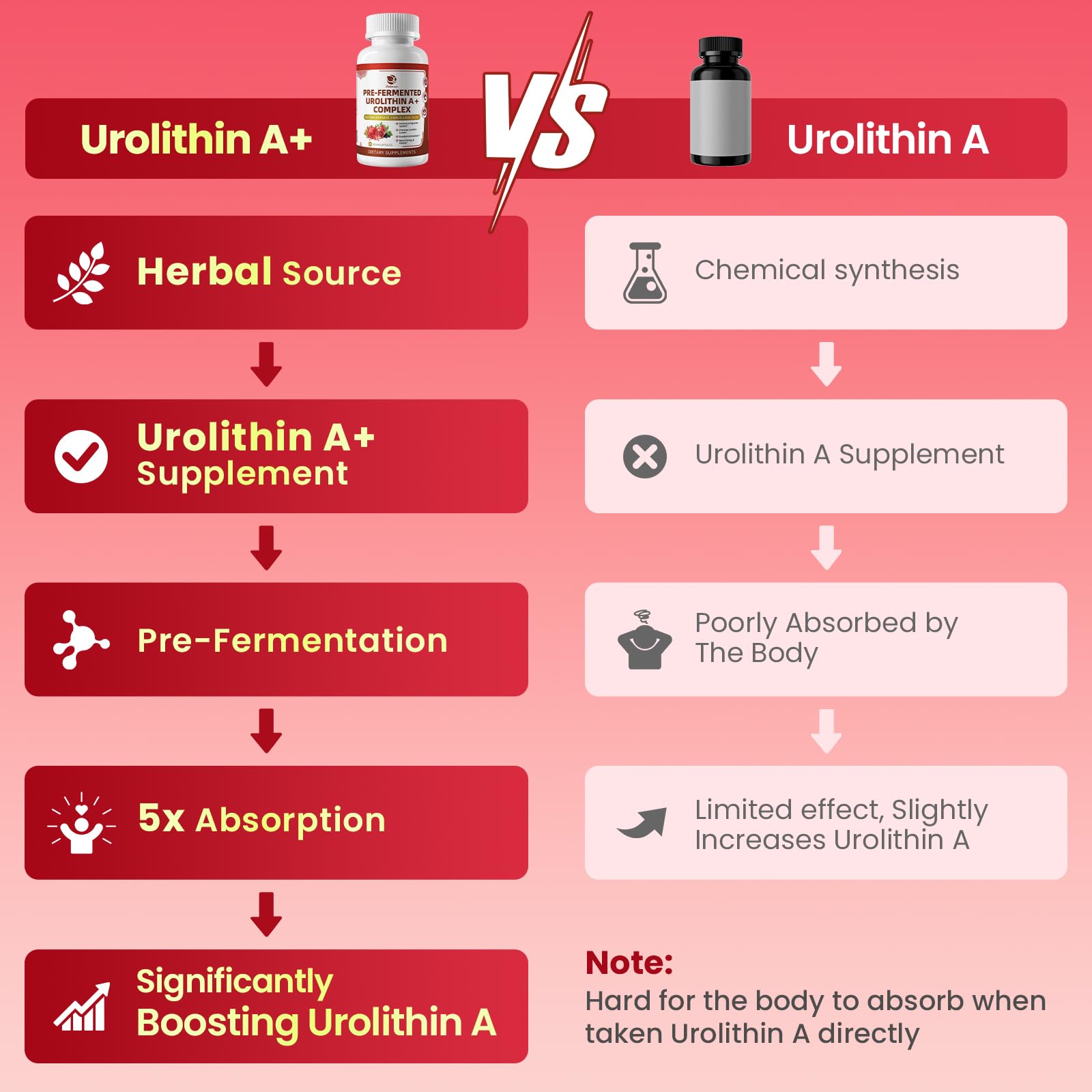 Lukaree wormwood-psyllium-dgl image highlights digestive balance support.