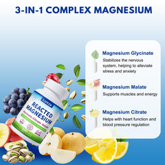 Lunza Reacted Magnesium ingredients list shows bioavailable forms