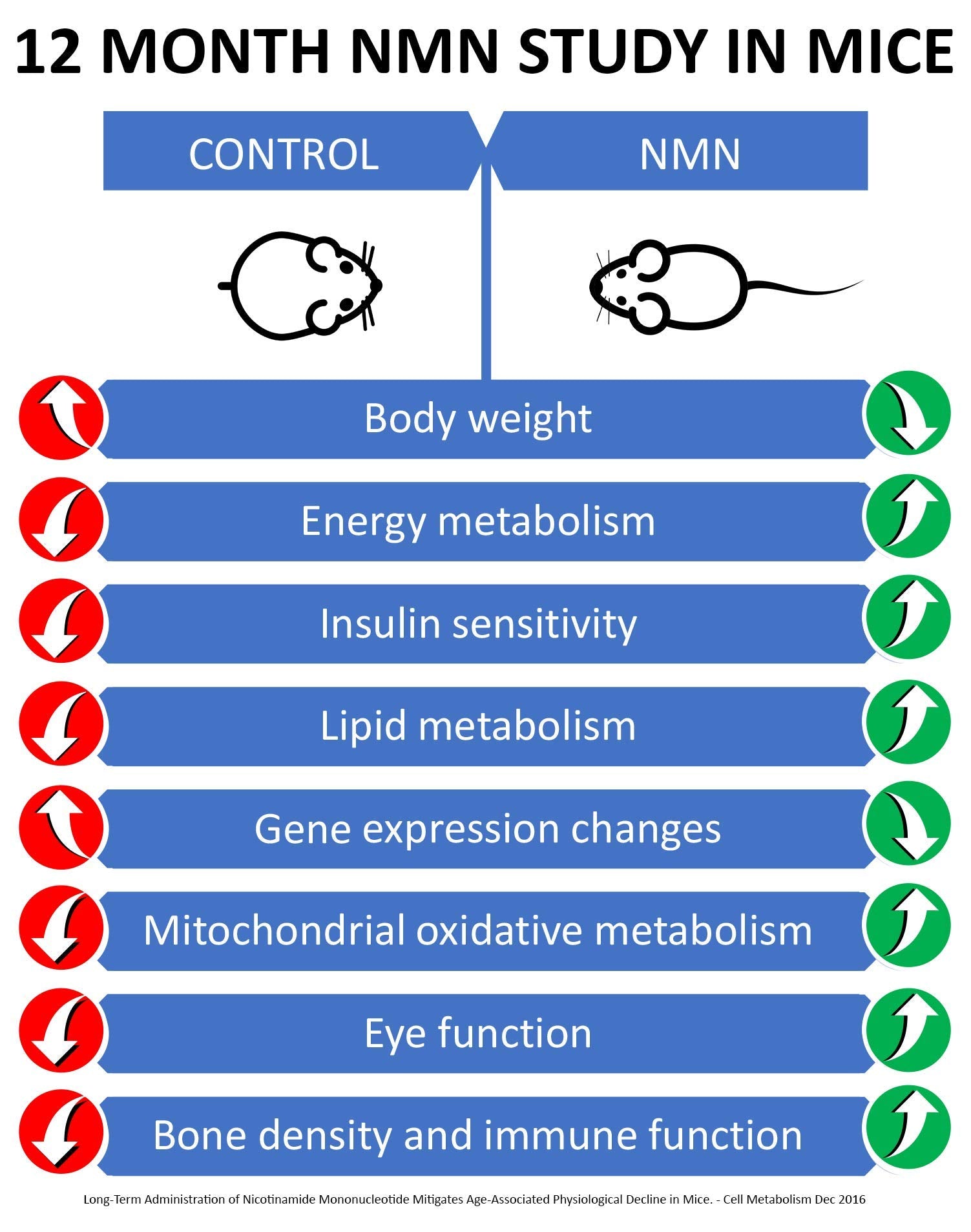 MAAC10 NMN 99-percent purity emphasizes potent NAD+ precursor.