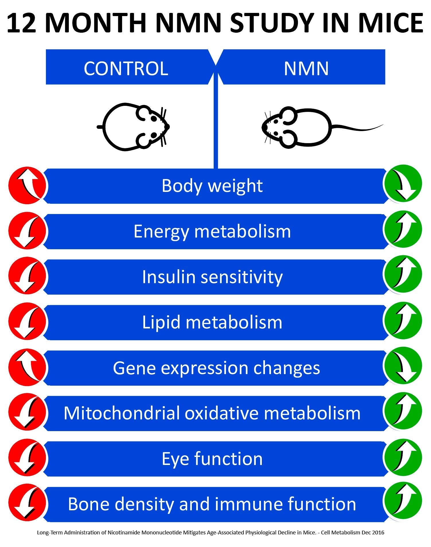 Serving size with four MAAC10 NMN capsules for daily intake.