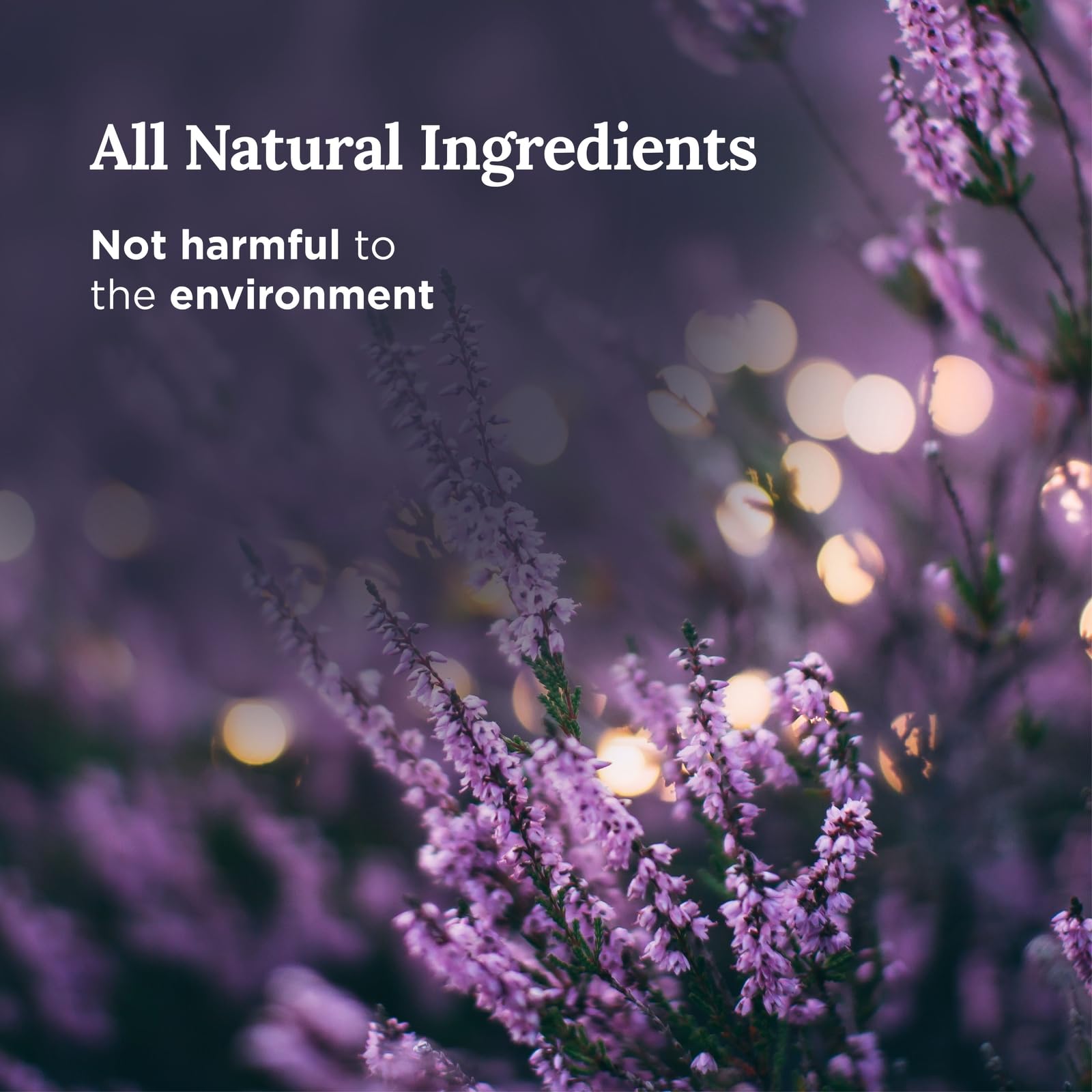 MAGNIFICENT 101 glass jar lit creates a soothing lavender-sage aroma.